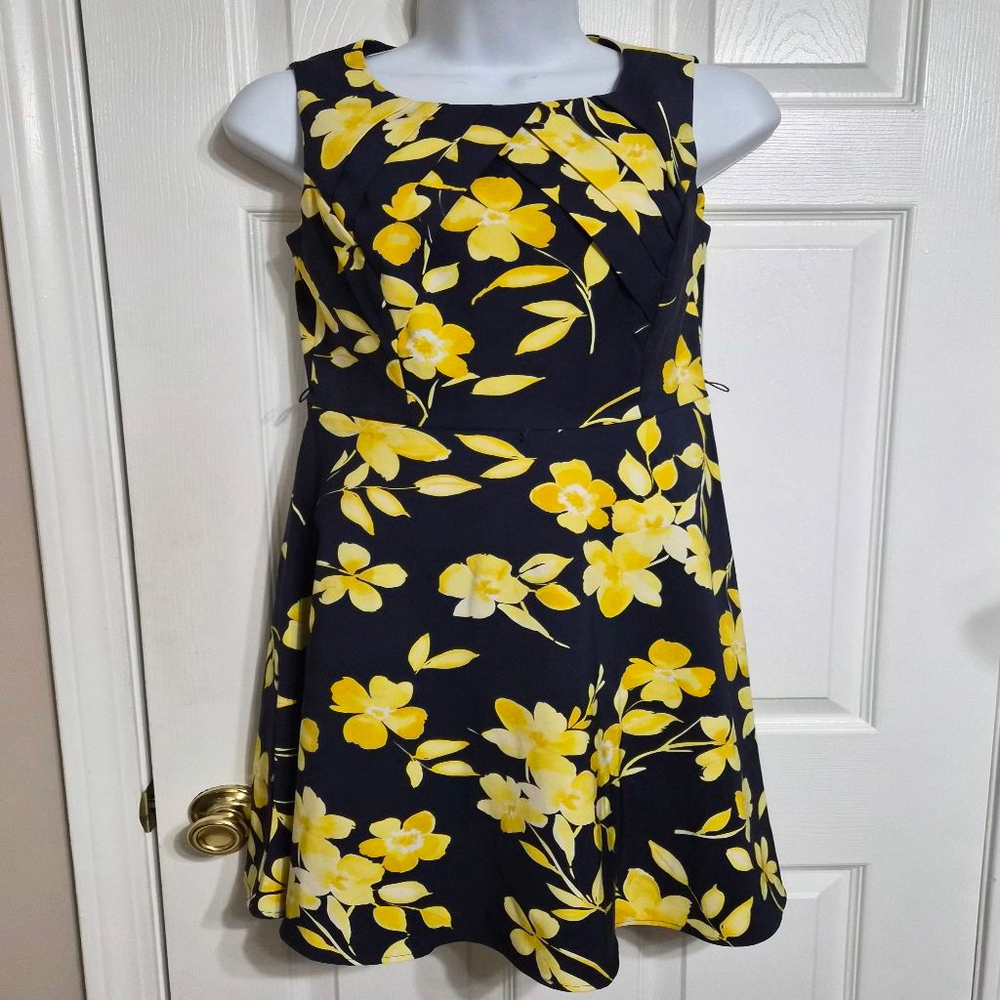Alyyx Dress Size 4